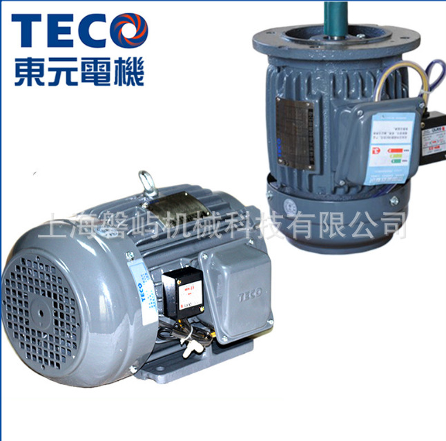TECO東元電機(jī)55KW臥式AEVF V系列高效電機(jī)無(wú)錫東元電機(jī)正品現(xiàn)貨