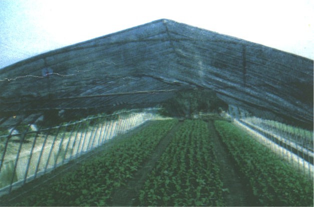 黑龍江遮陽網(wǎng)，哈爾濱花草防曬遮陽網(wǎng)，遼寧三針遮陽網(wǎng)