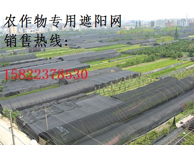 天津建筑工地遮陽網(wǎng)，天津廠家遮陽網(wǎng)供應(yīng)商，天津遮陽網(wǎng)價(jià)格