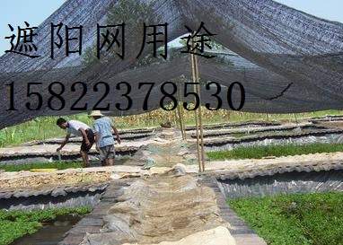 天津草坪專(zhuān)用‘遮陽(yáng)網(wǎng)’天津工地專(zhuān)用‘彩條布’天津供應(yīng)商