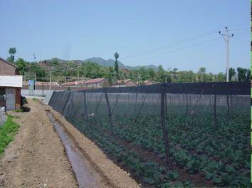 {新疆遮陽網(wǎng)價(jià)格}{新疆遮陽網(wǎng)廠家}{新疆遮陽網(wǎng)生產(chǎn)商報(bào)價(jià)}