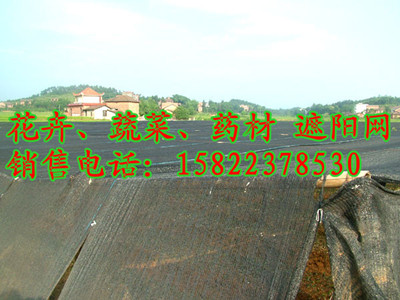 吉林長春蔬菜遮陽網(wǎng)、花卉、果苗遮陽網(wǎng)，天津遮陽網(wǎng)價格