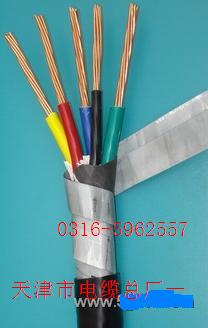 防白蟻、防鼠電纜【FYS】