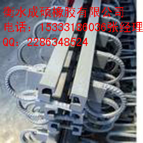 橋梁伸縮縫裝置供應(yīng)商 伸縮縫廠家 伸縮縫價(jià)格 衡水成碩橡膠總供應(yīng)