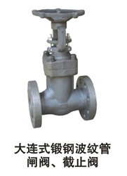 防盜閘閥、鍛鋼波紋管閘閥、美標(biāo)閘閥、潮州湘橋楓溪潮安閥門(mén)