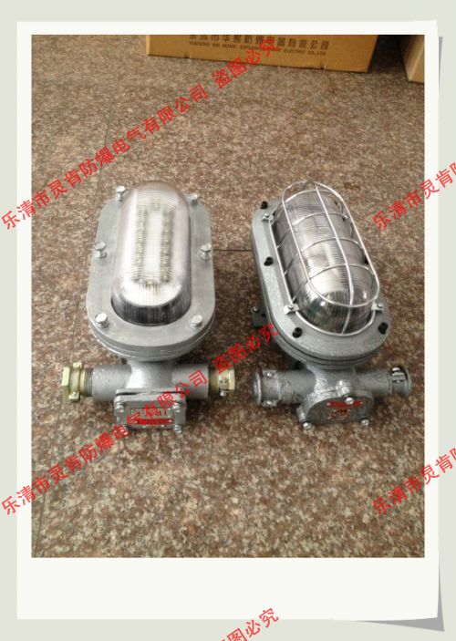 DGC16/127L（a）礦用支架燈，靈肯防爆接500萬支架燈大單
