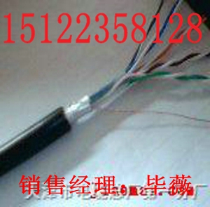 供應(yīng)RVVZP電纜（價(jià)格/報(bào)價(jià)）【廠家直銷】