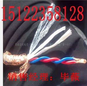 供應RVVRP22電纜（價格/報價）【廠家直銷】
