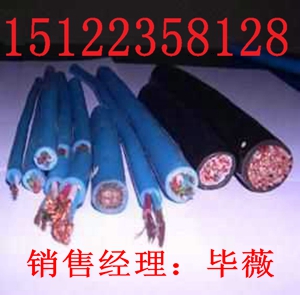 供應(yīng)RVVRP電纜（價格/報價）【廠家直銷】
