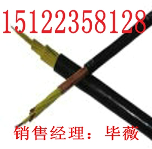 供應(yīng)RVVR電纜（價格/報價）【廠家直銷】