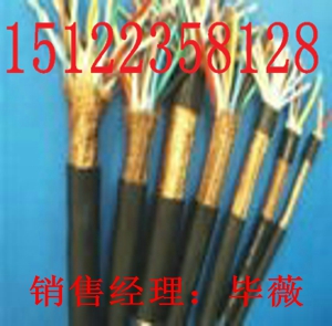 供應RVSP-2*1.5【絞型】屏蔽軟電纜（價格/報價）【廠家直銷