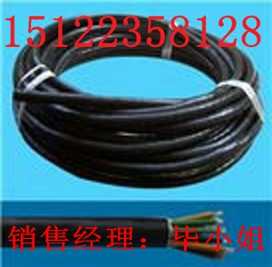 供應(yīng)ZB-RVVRP32電纜（價(jià)格/報(bào)價(jià)）【廠家直銷】