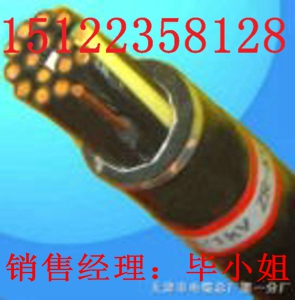 供應(yīng)ZB-RVVR電纜（價格/報價）【廠家直銷】