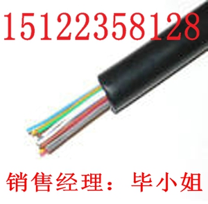 供應(yīng)ZB-RVVRP32電纜（價(jià)格/報(bào)價(jià)）【廠家直銷】