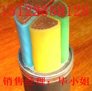 供應(yīng)ZB-RVVRP22電纜（價格/報價）【廠家直銷】