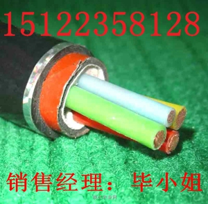 供應(yīng)ZA-RYY22電纜（價格/報價）【廠家直銷】