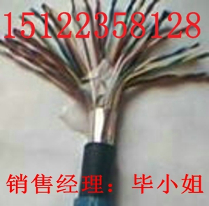 供應(yīng)ZR-RVVP電纜-專業(yè)提供阻燃屏蔽線ZR-RVVP價(jià)格/報(bào)價(jià)