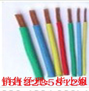 供應(yīng)RVVP屏蔽電纜專賣（價(jià)格/報(bào)價(jià)）【廠家直銷】