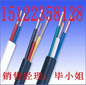 供應(yīng)ZR-DJYPV-ZR-DJYVP-ZR-DJYPVP-計(jì)算機(jī)