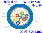 HAVP 擴(kuò)音對(duì)講電纜;擴(kuò)音系統(tǒng)專(zhuān)用電纜HAVP 2X32X0.1