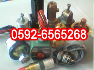 02250138-090美國壽力進氣閥維修包