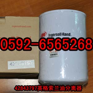 供應(yīng)39189048英格索蘭空濾器芯（主濾芯）
