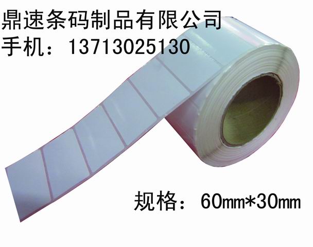 廠家訂做不干膠標(biāo)簽 樂器標(biāo)簽 不銹鋼標(biāo)簽 玩具標(biāo)簽60X30