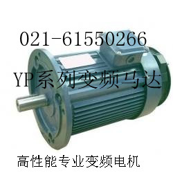 三相永磁同步電動(dòng)機(jī)、報(bào)價(jià)、貨期（圖）