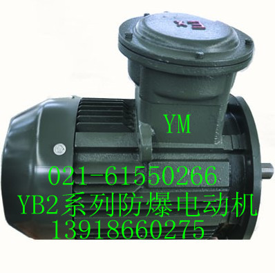 YB2-250M-6電動機|電機|防爆電機（圖）