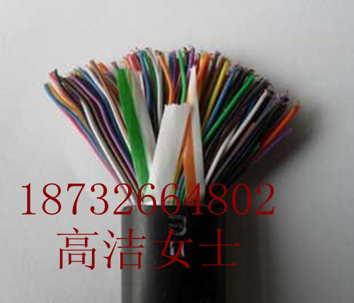 規(guī)格齊全-HPVV500*/2*0.4 500對電話線廠家/報價