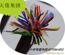 精品HYA53 HYV53 二芯/四芯/六芯/八芯鎧裝電話(huà)線(xiàn)