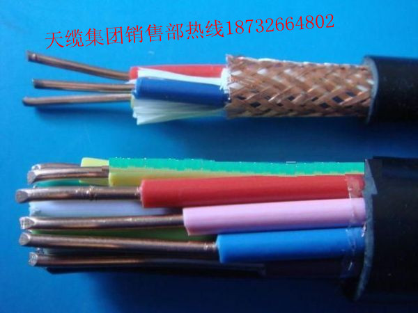 廠家提供NH-KVVP2-22耐火控制電纜最新價格