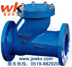 球形止回閥 HQ41X-10、HQ41X-16球形止回閥 江蘇唯科球形止回閥