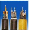 YC橡套電纜價格YC橡套電纜參數(shù)