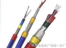 ZRKVV電纜銷售，供應(yīng)ZRKVV電纜，廠家ZRKVV