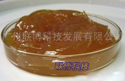 高速塑膠齒輪脂，高粘性塑膠潤滑脂