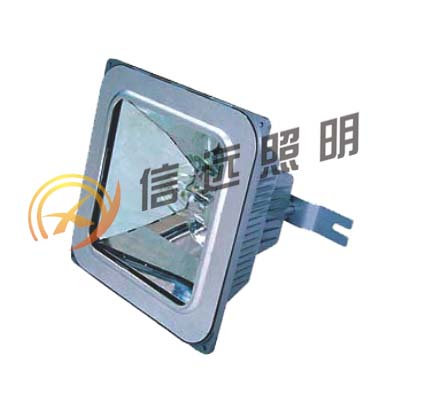 NFE9100防眩應急棚頂燈【誠招經銷商】廠用投光燈 礦用投光燈