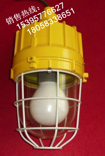 ccd92，防爆無極燈，ccd92防爆無極燈