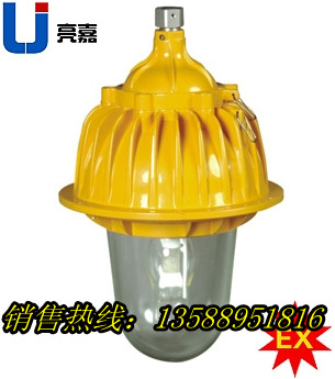 BFC8130-J250，內(nèi)場(chǎng)防爆燈BFC8130-J250，