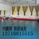 批發(fā)舞蹈地膠，舞蹈教室地板膠報價，舞蹈室地膠價格