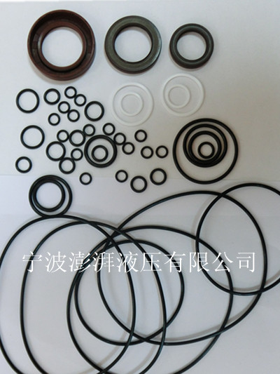 力士樂(lè)A4VG250液壓泵修理包