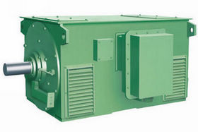 Y系列（6KV、10KV）高壓三相異步電動(dòng)機(jī) Y系列電機(jī)