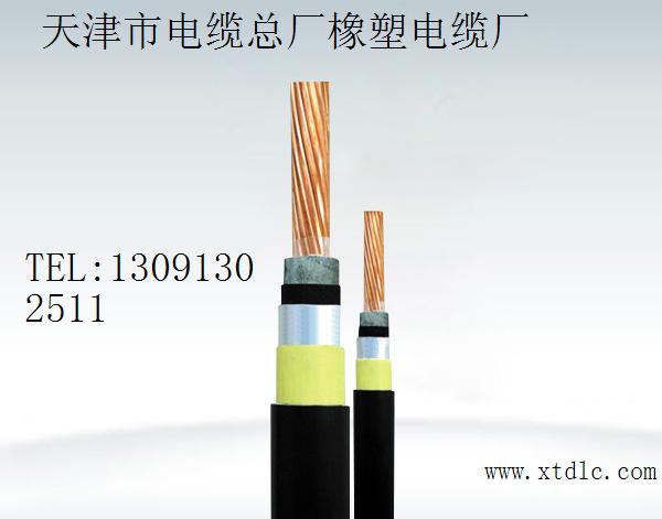 YH天津小貓電纜,YH,YHF焊把線,電焊機(jī)引接線，YH電焊機(jī)電纜