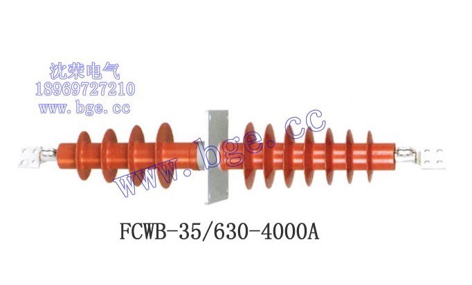 FCWB-10/1250A，F(xiàn)CWB-10/1250A穿墻套管