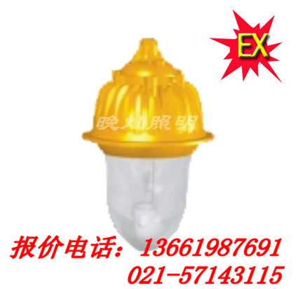 BFC8130內(nèi)場防爆燈，BFC6180，BFC8182上海直銷