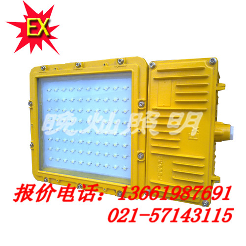 【BFC8110】BFC8110防爆泛光燈 ，上海直銷，歡迎來(lái)電