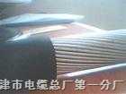 歡迎前來訂購 特價(jià)  大對數(shù)鍍鋅鐵皮電纜HYAT23 HYA22