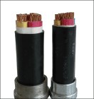 電力電纜vv VV22報(bào)價(jià)