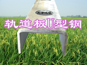 安全防護高速鐵路軌道板鍍鋅U型鋼C型槽生產(chǎn)廠家