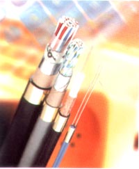 [供應(yīng)]1*25 1*35 1*50 通信設(shè)備電源線 機房電源線